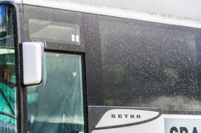 Midges at our bus