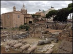 Part of the Roman Forum
