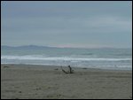 East Coast - Woodend Beach