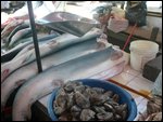 I like a nice bit of fish