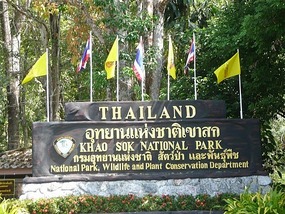 Khao Sok National Park!