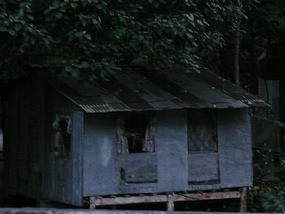 Local shack on the river