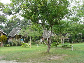 Bamboo Hut, Khao Sok National Park