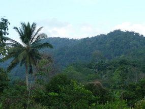 Khao Sok National Park