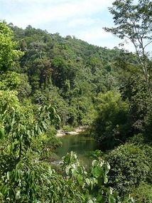The beautiful lush green NP