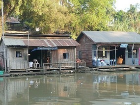 More river life
