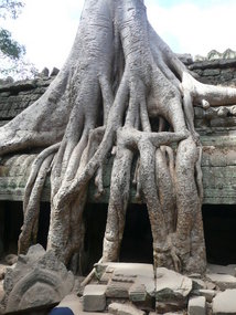 Famous Angor Thom!