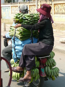 Crazy Phnom Penh -1000 bananas on a moped!
