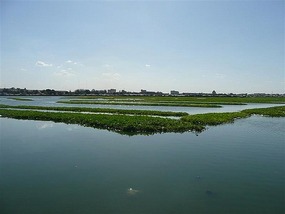 View from our hostel