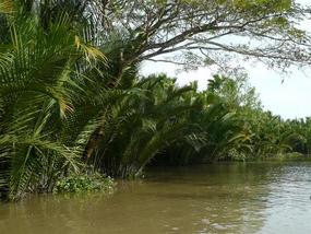 The beautiful rural riverways!
