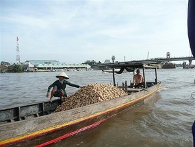 Potatoes anyone?