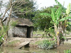 Rural shacks on the small rivers