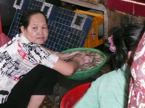 Lady cleaning shrimps in the market