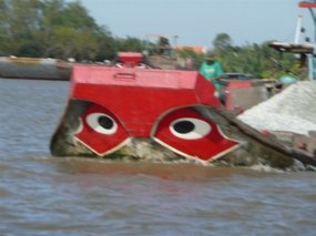 The 'Vietnamese eyes' of the boats!