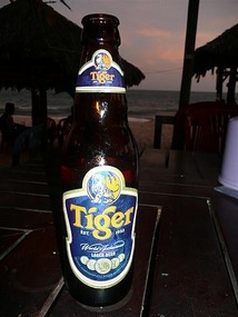 Tiger beer, perfect!