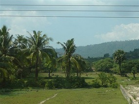Getting greener as we head further south