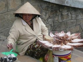 Drying shrimps in the market
