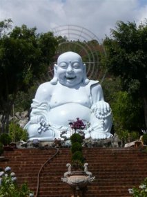 The Happy Buddha!