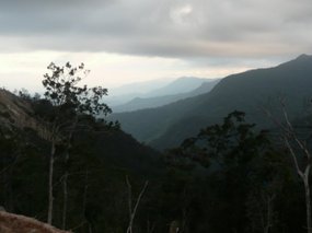 View on the way down from Dalat
