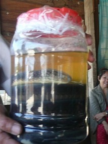 A random pickled snake..yuk!