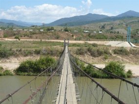 Monkey Bridge