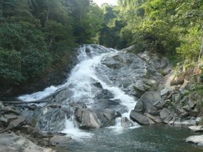 Scorpian waterfall