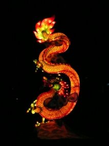 Dragon lit up on the river!