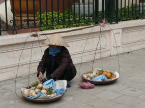 Vietnamese working lady