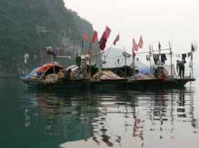Local house boats