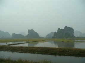 Rice paddies on route to Hanoi