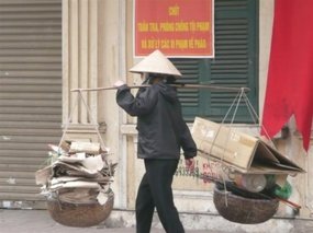 Vietnamese working lady