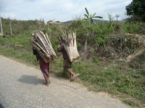 Children laden with firewood