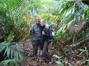 Idiots in the tropical forest