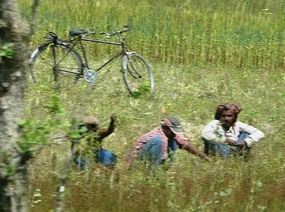 Chilling in the fields
