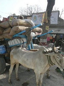 Local transport!!!