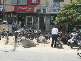 More amongst the motorbikes....