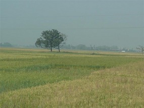 The barren landscape for the first few hrs