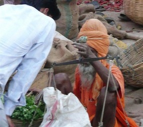Weighing the herbs