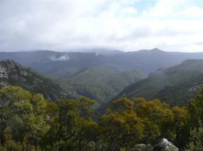 The Great Western Tiers