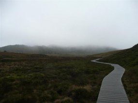 The start of our ascent!