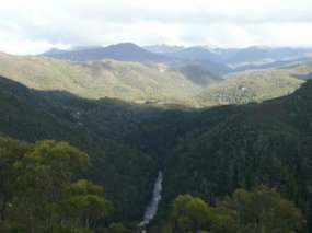 View of the Franklin River