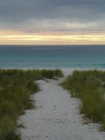 PORRIDGE SPOT! Bay of Fires.