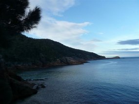Sleepy Cove Bay