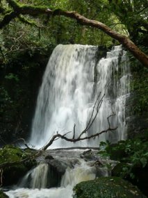 Matai Falls