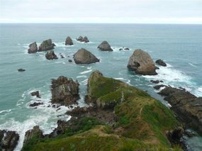 Nugget Point minus idiots!