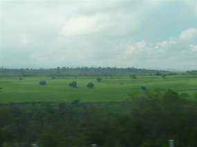 Rolling green fields like home!