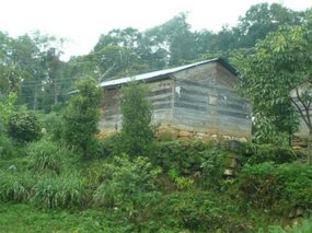 Typical shack in the hills