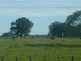 Scenery just ike home!