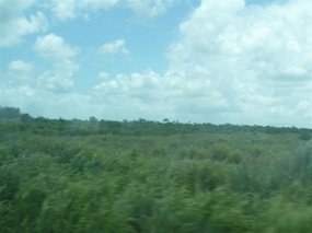Landscape across the border