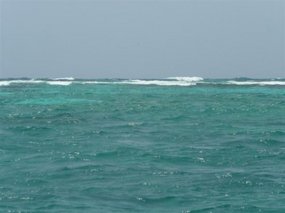 Waves on the reef!